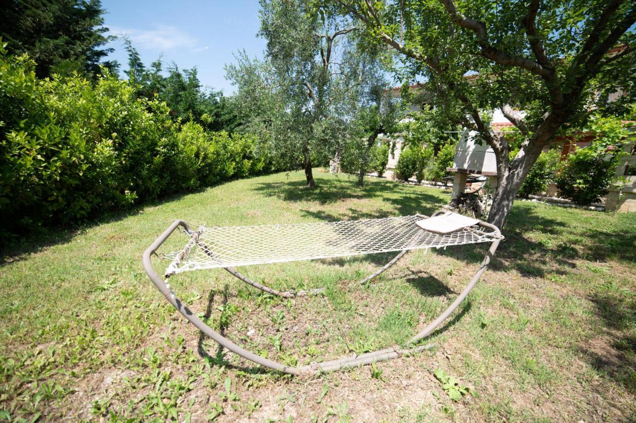 I Sapori Del Gargano Casa de hóspedes Vieste Exterior foto