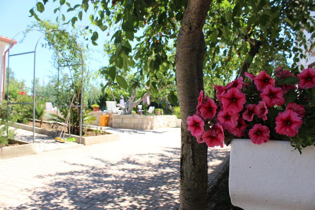 I Sapori Del Gargano Casa de hóspedes Vieste Exterior foto